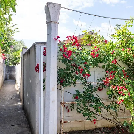 Апартаменты Laura *